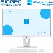 Máy tính All in one SingPC M24Pi51282-W9